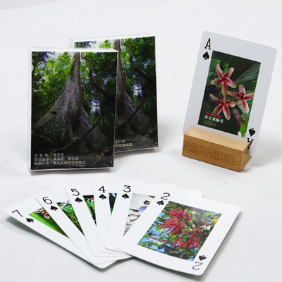 acheter Cartes à jouer publicitaires en vert imprimées sur mesure avec imprimante de boîte de haute qualité Allemagne Cartes à jouer en papier noir online manufacture
