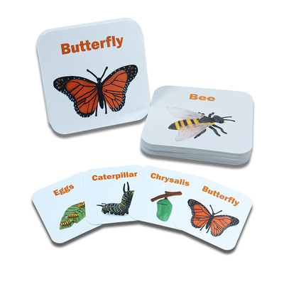 acheter Jouet d'apprentissage pour enfants sur mesure Cartes correspondantes vernies pour le plaisir de reconnaissance animale online manufacture