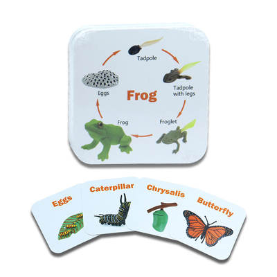 Cartes personnalisées d'insectes d'animaux pour les jeux éducatifs pour enfants
